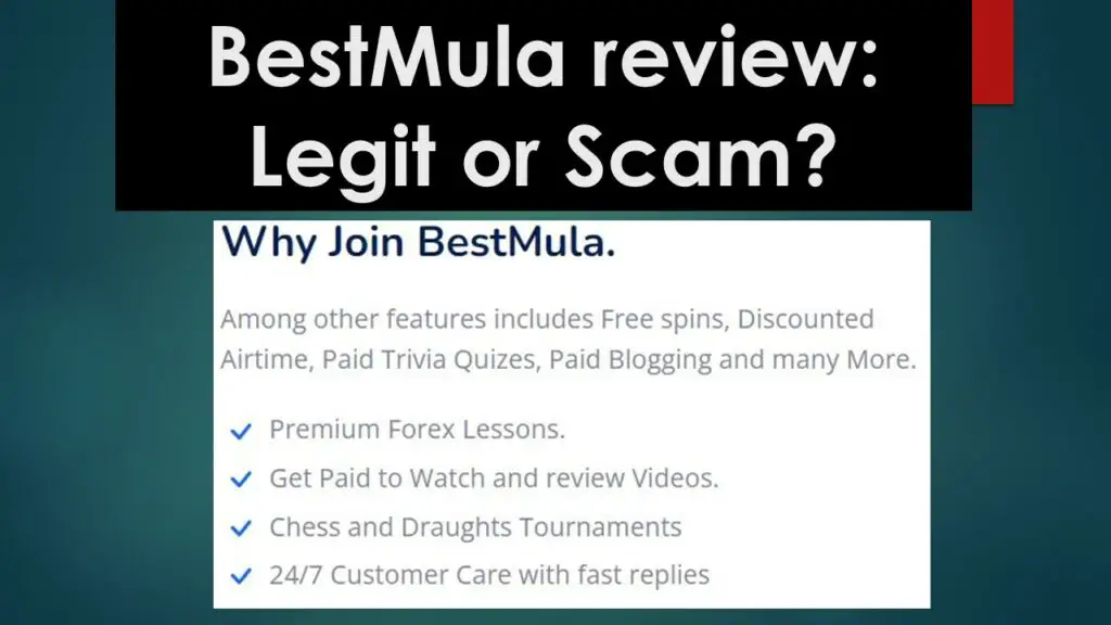What is BestMula? full review