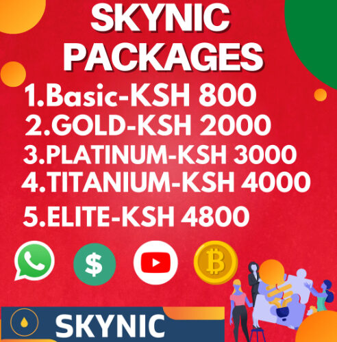 how does skynic agencies work